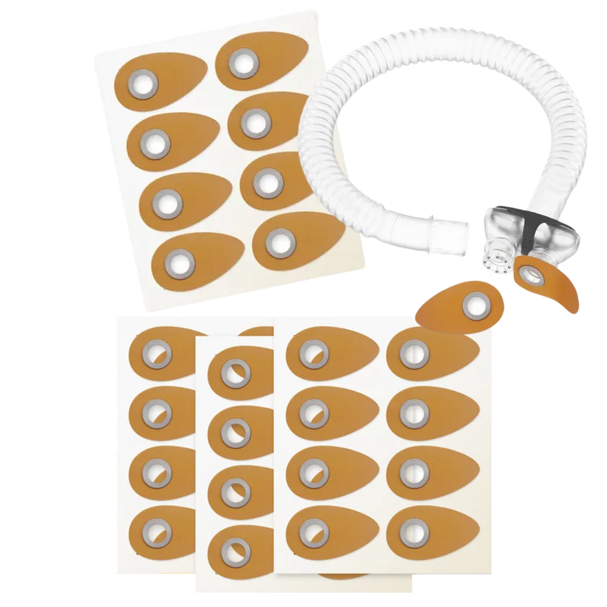 Eclipse Starter Kit Medium