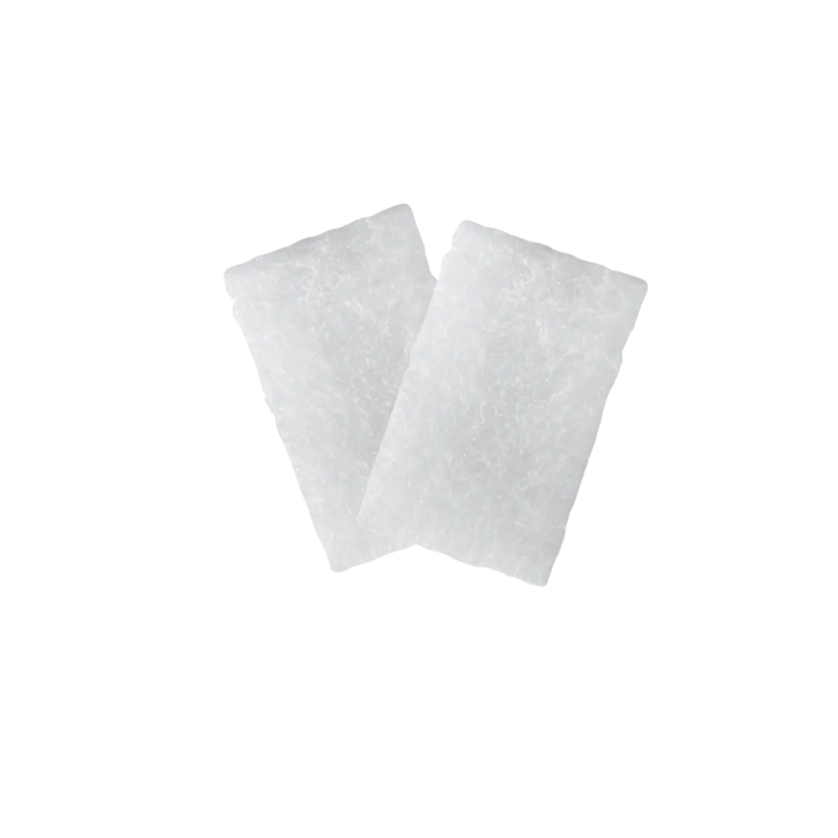 Filters for Transcend Micro 510 - 2 Pack